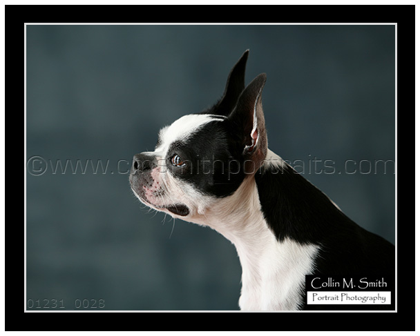 01231fb-028 01231fb-028